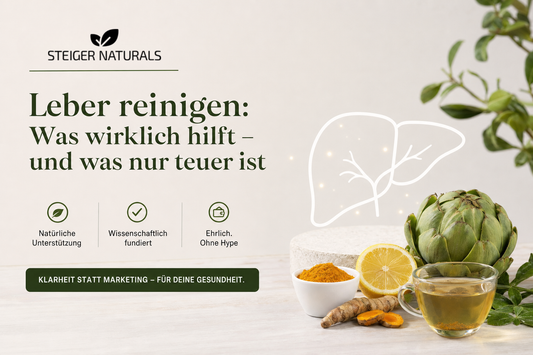 Anatomische Illustration der menschlichen Leber
