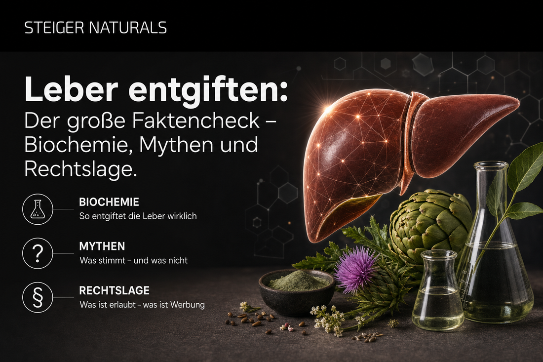 Leber entgiften: Der große Faktencheck – Biochemie, Mythen und Rechtslage