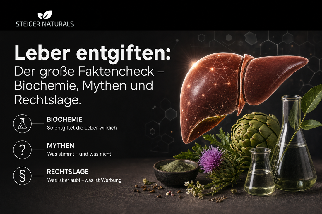 Die menschliche Leber – Zentralorgan des Stoffwechsels