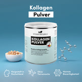 Kollagenpulver Bioaktive Kollagenpeptide