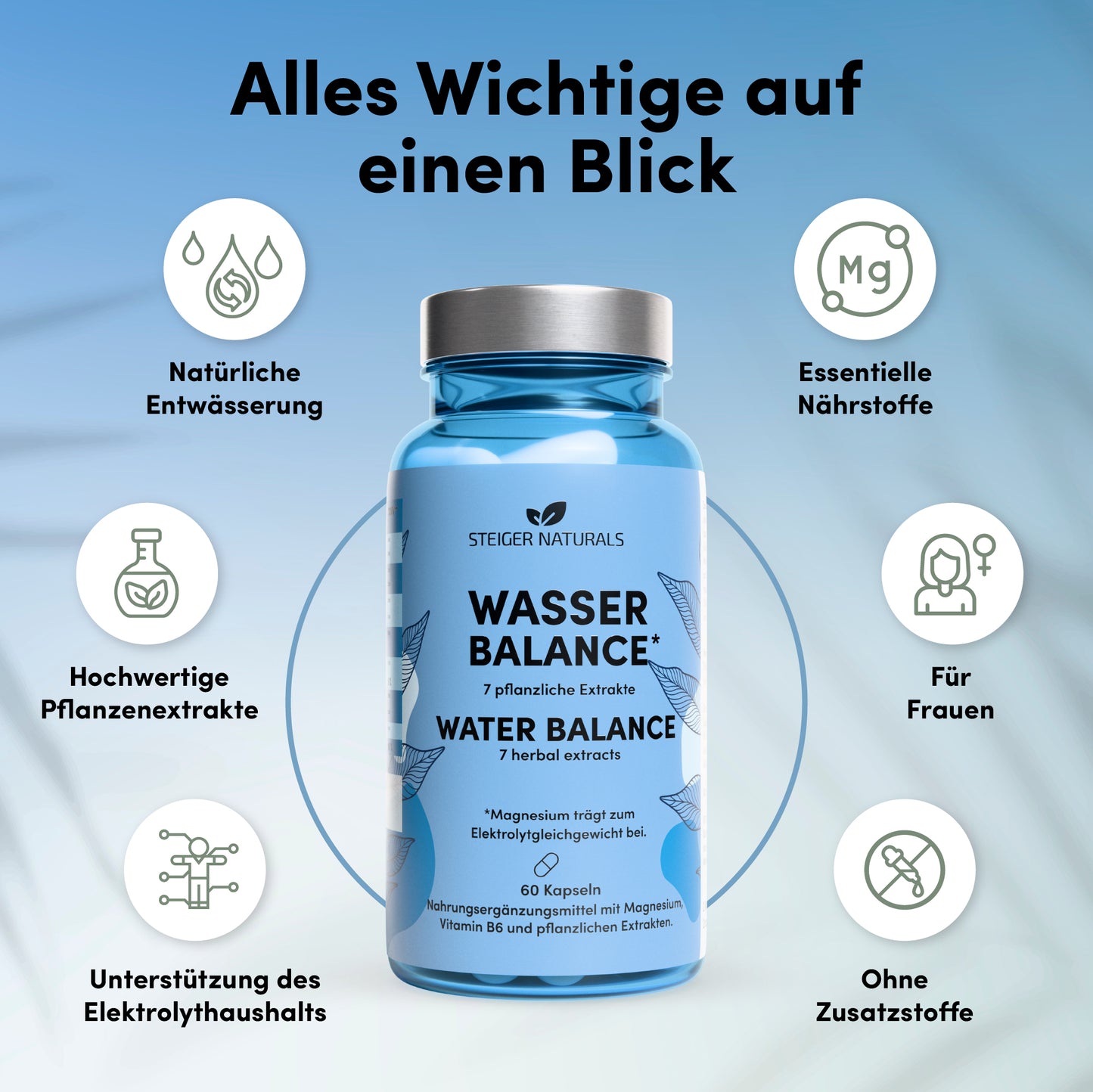 Waterbalans - natuurlijke ontwateringscomplex