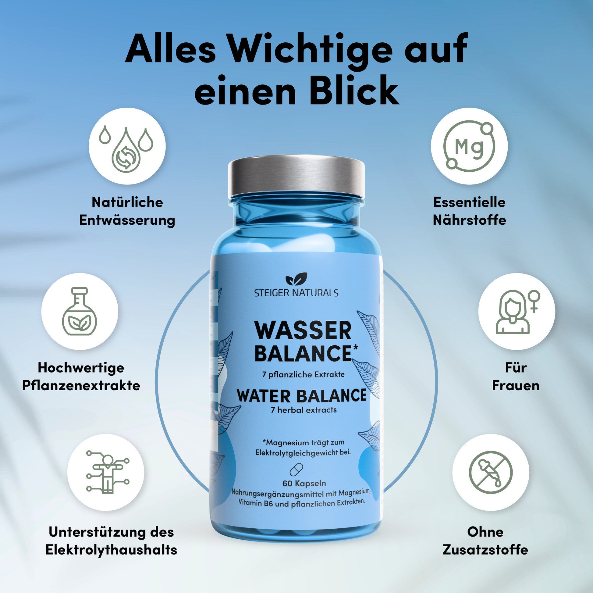 Waterbalans - natuurlijke ontwateringscomplex
