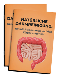 darmkur ebook 